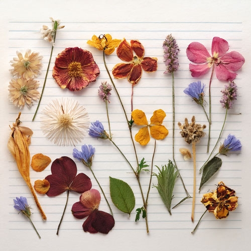 Remembrance Flowers Preservation