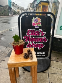 Christmas Arrangements