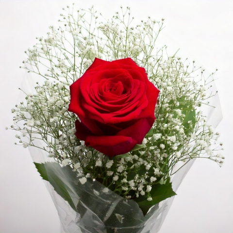 Valentines Gift Wrapped