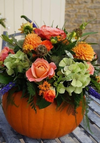 Petals and Pumpkins October 24th 12PM